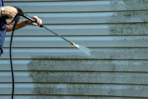 Best Spring Cleaning  in Madison, WV